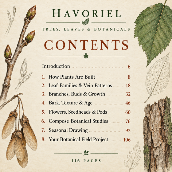 Contents pages with chapter start numbers for Trees, Leaves & ; Botanicals.