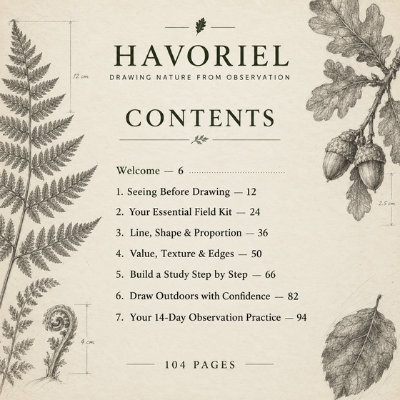Contents pages with chapter start numbers for Drawing Nature from Observation.