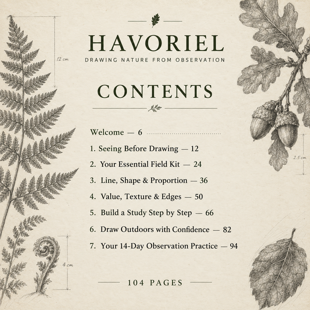 Contents of Drawing Nature from Observation.
