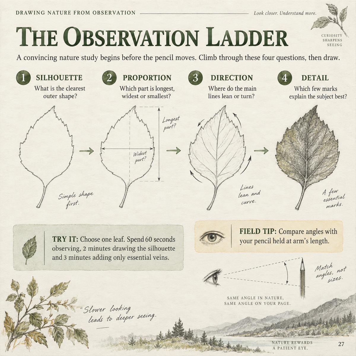 Drawing Nature from Observation